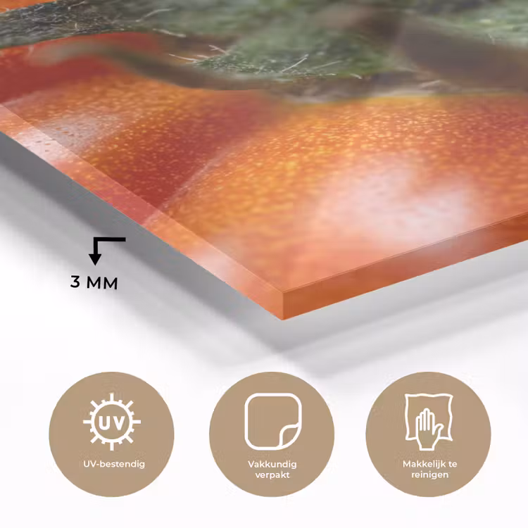 Glass Print - Food - Tomato - Red - Eten - Tomaat - Rood plexiglas 5mm klein