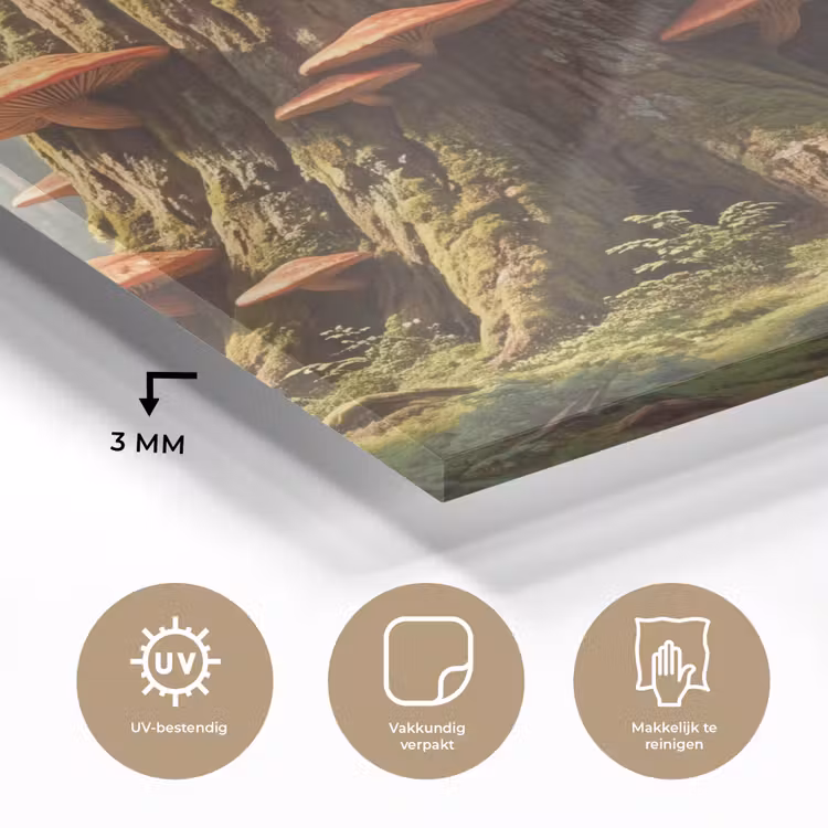 Glass Print - Forest - Trees - Nature - Bos - Bomen - Natuur plexiglas 5mm klein
