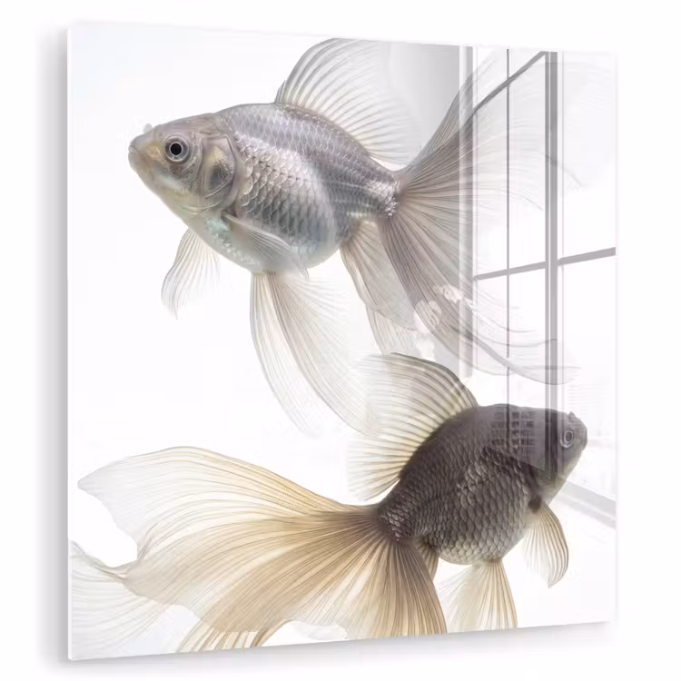 Goudvissen - Modern - Wit plexiglas 5mm klein -zzzproduct_nieuw
