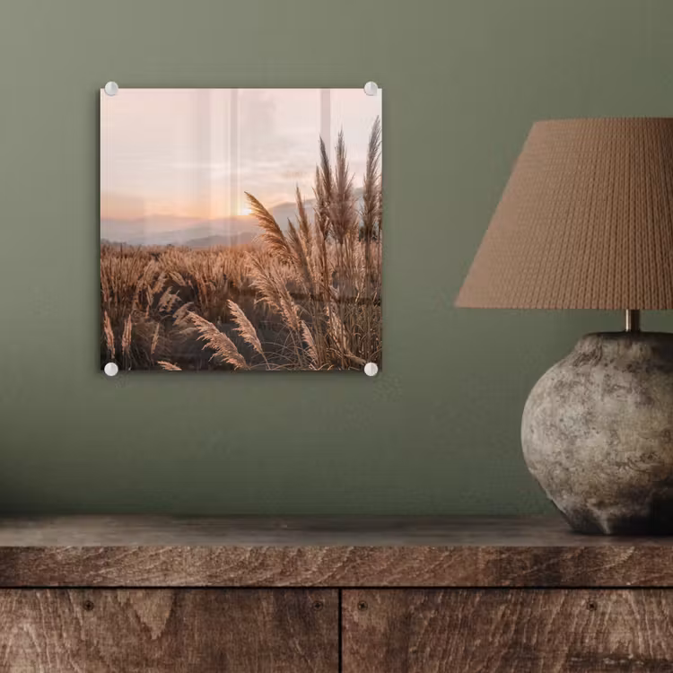Gras - Veld - Zon - Natuur plexiglas 5mm klein -sfeer3