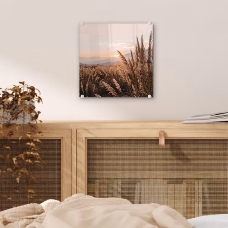 Gras - Veld - Zon - Natuur plexiglas 5mm klein -sfeer4