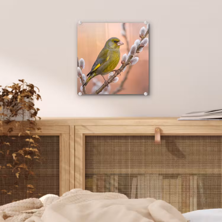 Groenling - Katjes - Lente - Natuur - Zacht plexiglas 5mm klein -sfeer4