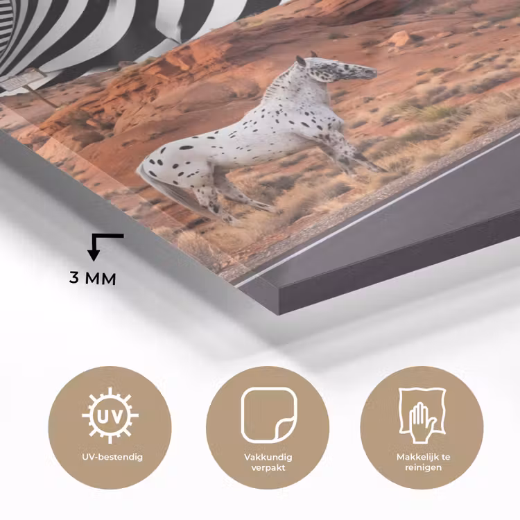 Glass Print - Horse - Desert - Nature - Paard - Woestijn - Natuur plexiglas 5mm klein