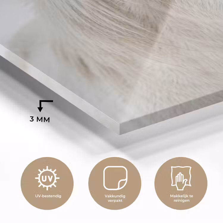 Paard - Kop - Winter - Dieren - Wit plexiglas 5mm klein -sfeer2