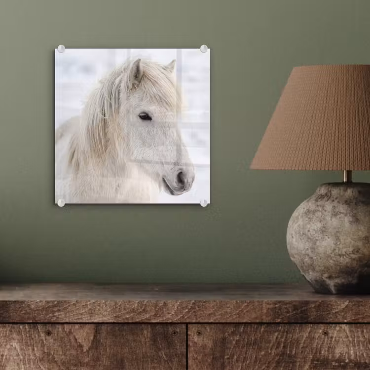 Paard - Kop - Winter - Dieren - Wit plexiglas 5mm klein -sfeer3