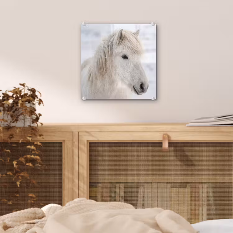 Paard - Kop - Winter - Dieren - Wit plexiglas 5mm klein -sfeer4