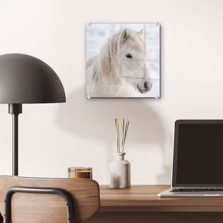 Paard - Kop - Winter - Dieren - Wit plexiglas 5mm klein -sfeer6