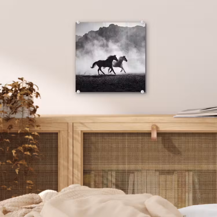 Paard - Ren - Stof - Zwart-wit - Dieren plexiglas 5mm klein -sfeer4