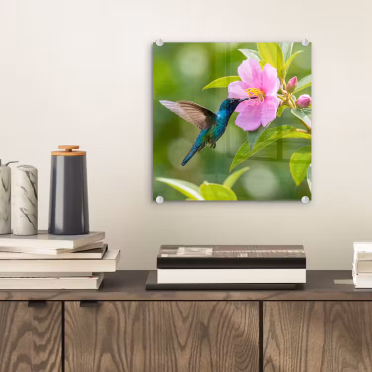 Kolibrie - Bloem - Natuur - Groen plexiglas 5mm klein -sfeer1