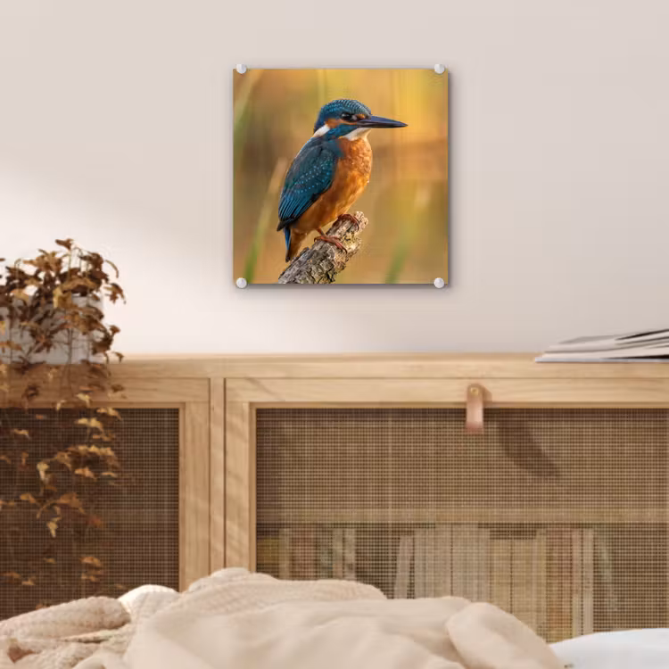 IJsvogel - Tak - Water - Kleurrijk - Levendig plexiglas 5mm klein -sfeer4