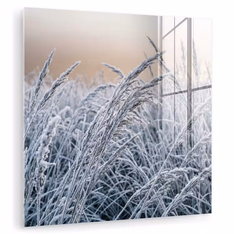 Rijp - Gras - Kristallen - Winter - Minimalistisch plexiglas 5mm klein -zzzproduct_nieuw
