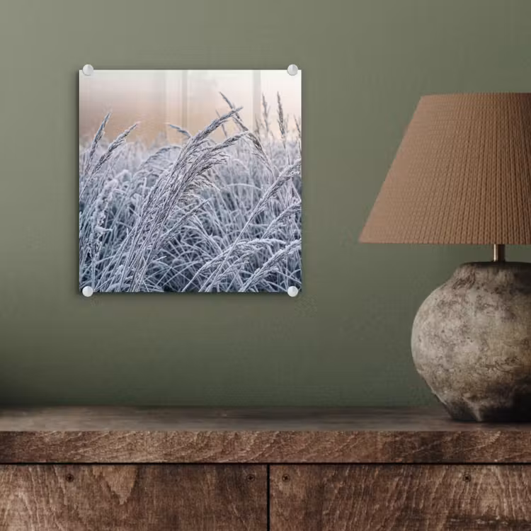 Rijp - Gras - Kristallen - Winter - Minimalistisch plexiglas 5mm klein -sfeer3