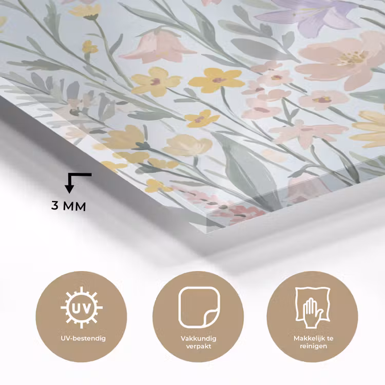 Weidebloemen - Illustratie - Kleurrijk plexiglas 5mm klein -sfeer2