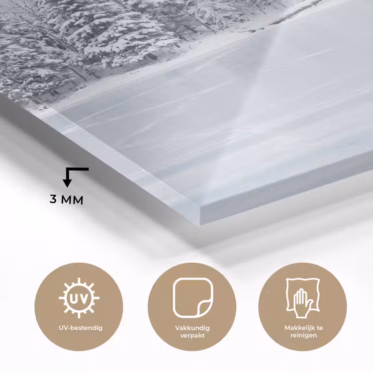 Meer - Dennen - IJs - Winter - Rustgevend plexiglas 5mm klein -sfeer2