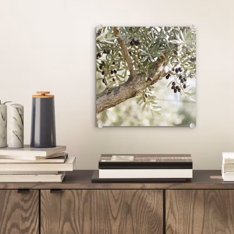 Glass Print - Olive tree - branch - green - Olijfboom - tak - groen plexiglas 5mm klein