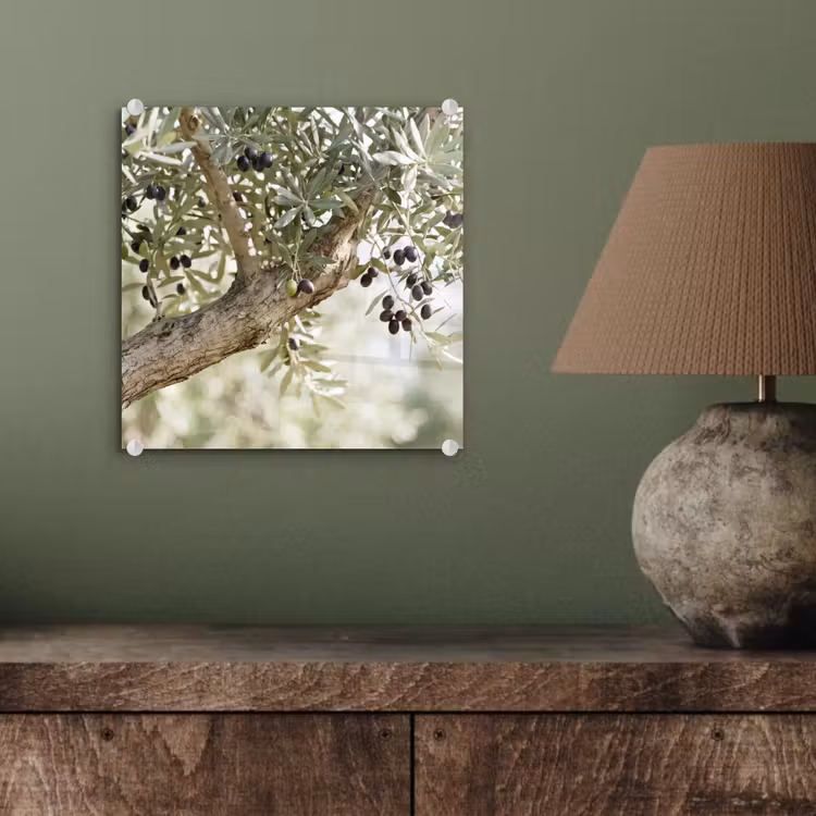 Glass Print - Olive tree - branch - green - Olijfboom - tak - groen plexiglas 5mm klein