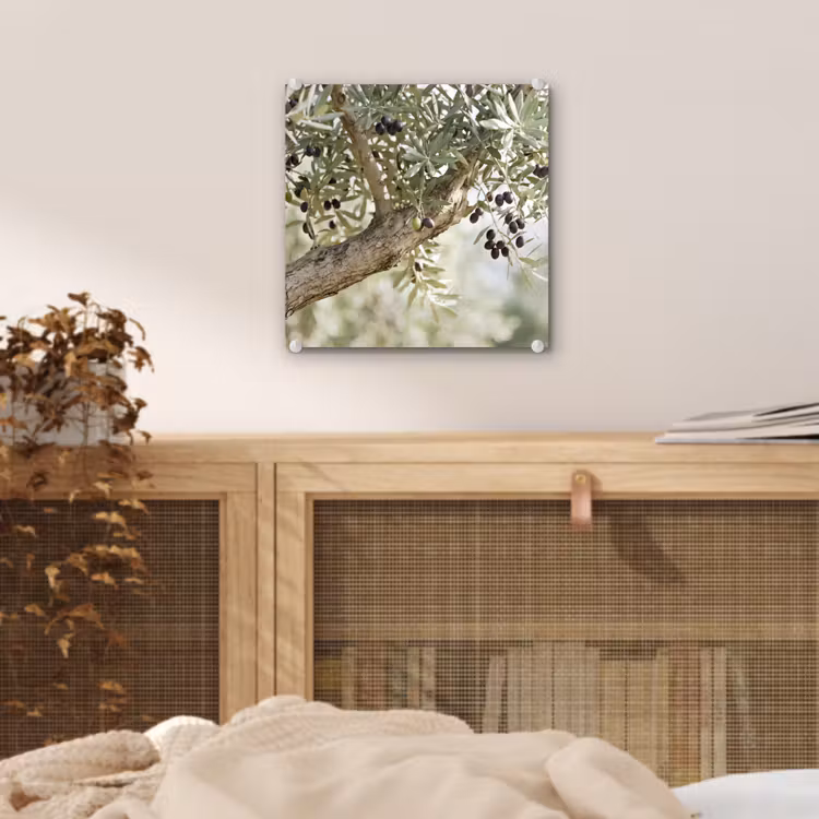 Glass Print - Olive tree - branch - green - Olijfboom - tak - groen plexiglas 5mm klein