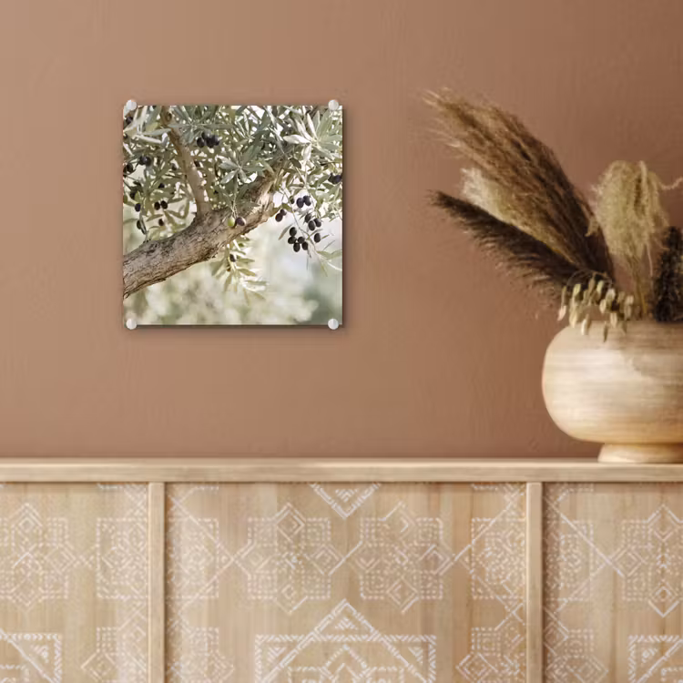 Glass Print - Olive tree - branch - green - Olijfboom - tak - groen plexiglas 5mm klein