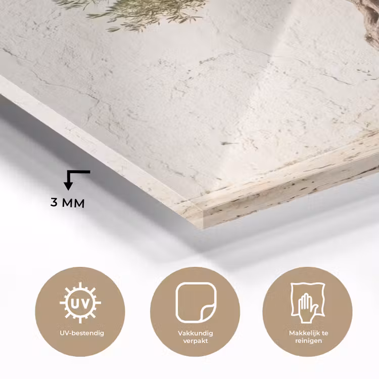 Glass Print - Olive Tree - Wall - White - Olijfboom - muur - wit plexiglas 5mm klein