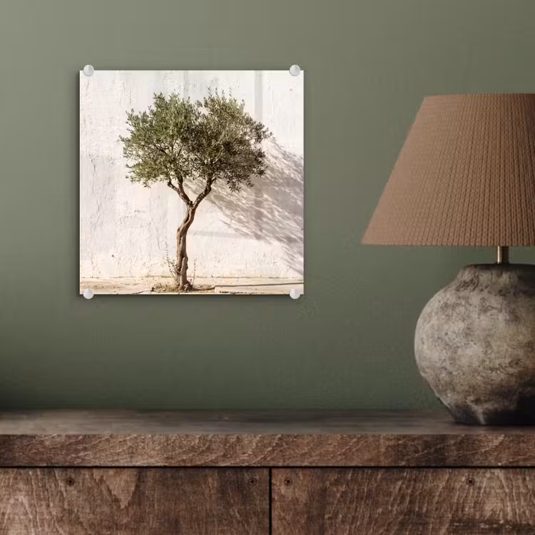 Glass Print - Olive Tree - Wall - White - Olijfboom - muur - wit plexiglas 5mm klein