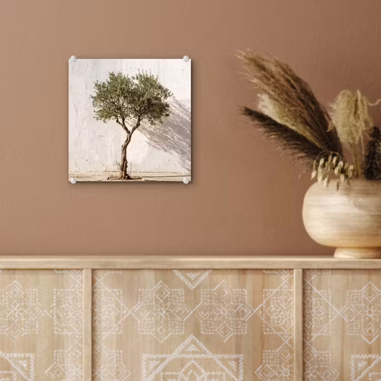 Glass Print - Olive Tree - Wall - White - Olijfboom - muur - wit plexiglas 5mm klein