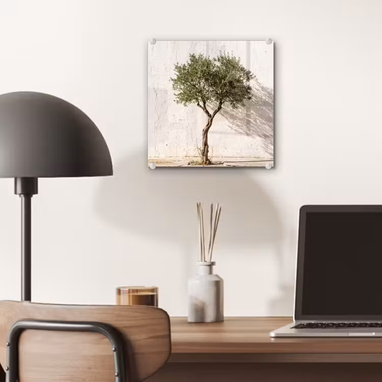 Glass Print - Olive Tree - Wall - White - Olijfboom - muur - wit plexiglas 5mm klein