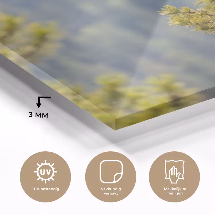 Uil - Oehoe - Bomen - Natuur plexiglas 5mm klein -sfeer2
