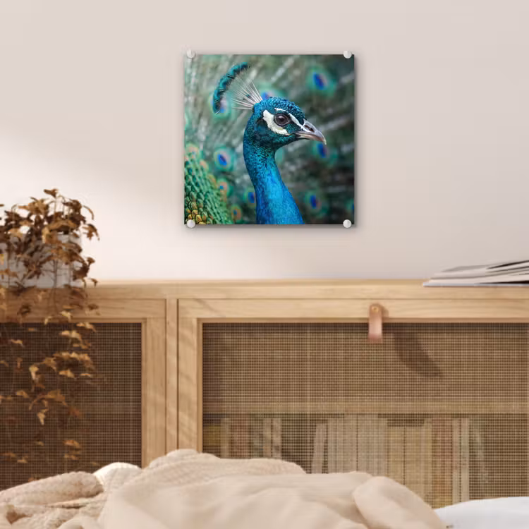 Pauw - Veren - Blauw plexiglas 5mm klein -sfeer4
