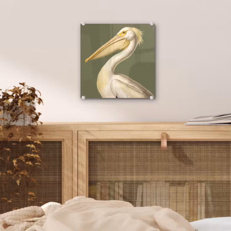Pelikaan - Wit - Vogel - Klassiek - Natuur plexiglas 5mm klein -sfeer4