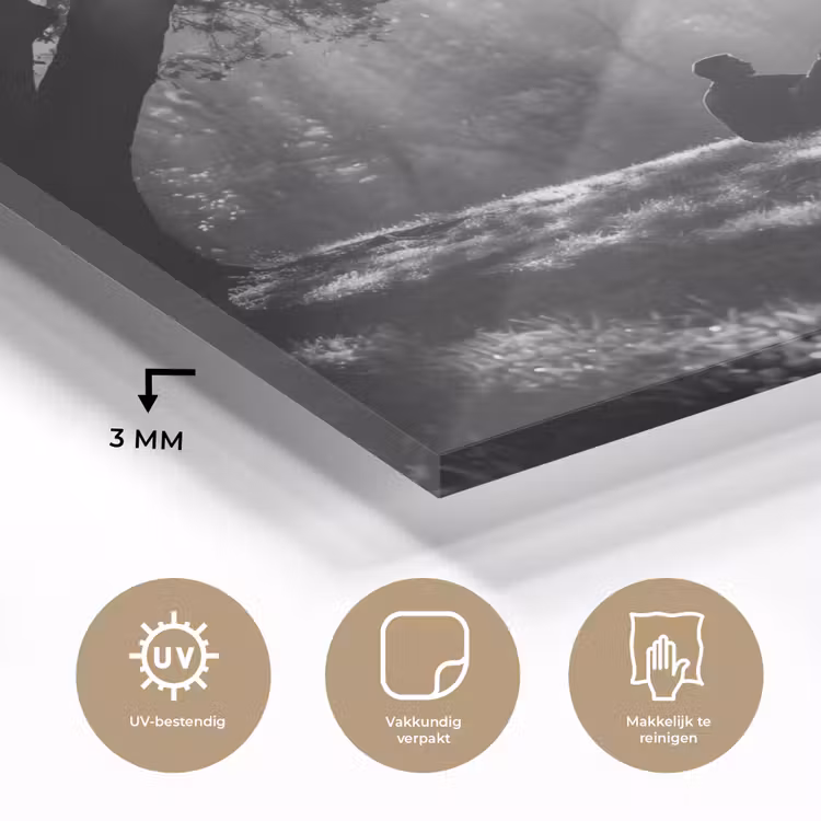 Mens - Hond - Natuur - Zwart-wit - Silhouet plexiglas 5mm klein -sfeer2