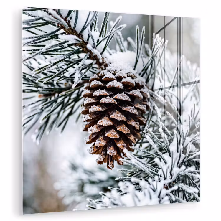 Dennenappel - Tak - Sneeuw - Winter - Sfeervol plexiglas 5mm klein -zzzproduct_nieuw