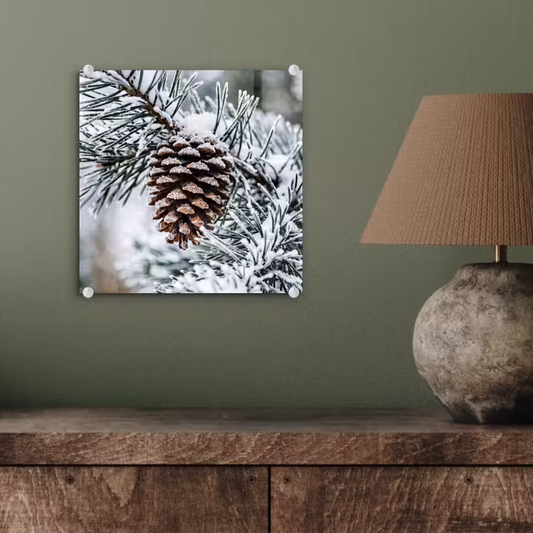Dennenappel - Tak - Sneeuw - Winter - Sfeervol plexiglas 5mm klein -sfeer3