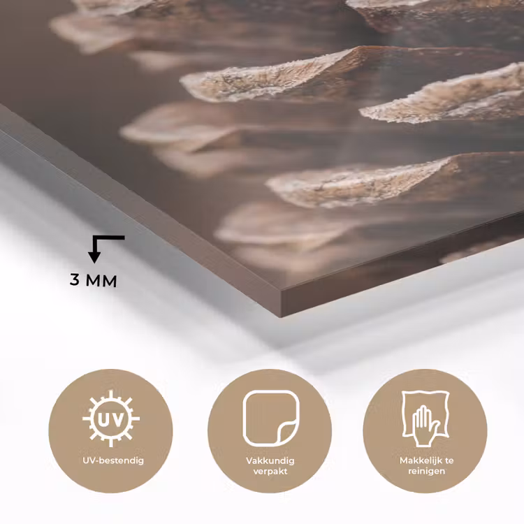 Dennenappel - Bos - Herfst - Bruin - Sfeervol plexiglas 5mm klein -sfeer2