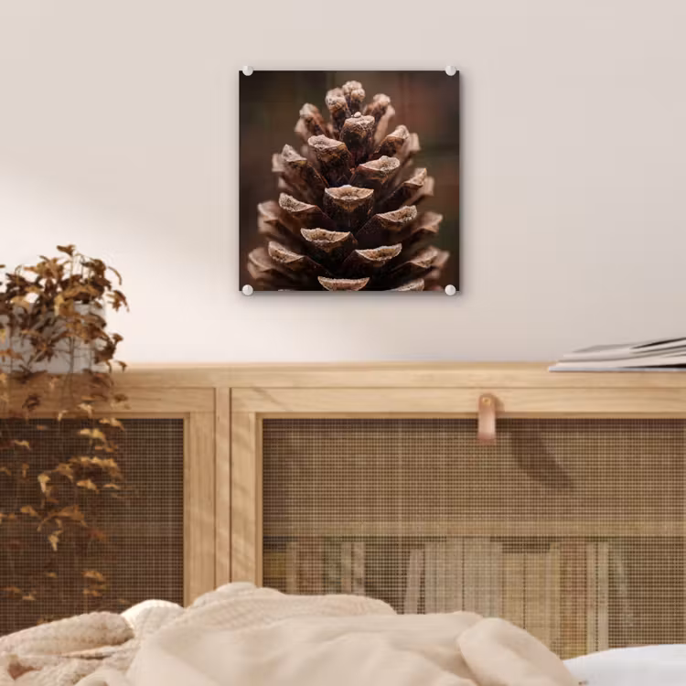Dennenappel - Bos - Herfst - Bruin - Sfeervol plexiglas 5mm klein -sfeer4