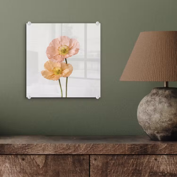 Papavers - Botanisch - Roze plexiglas 5mm klein -sfeer3