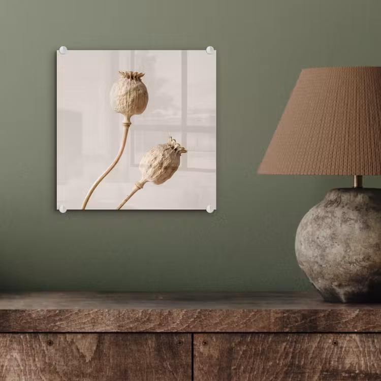 Papaverbollen - Droogbloemen - Minimalistisch - Beige - Rustig plexiglas 5mm klein -sfeer3