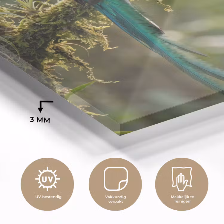 Quetzal - Jungle - Natuur - Groen plexiglas 5mm klein -sfeer2
