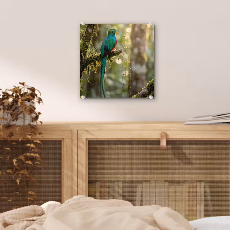 Quetzal - Jungle - Natuur - Groen plexiglas 5mm klein -sfeer4