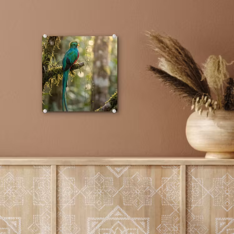 Quetzal - Jungle - Natuur - Groen plexiglas 5mm klein -sfeer5