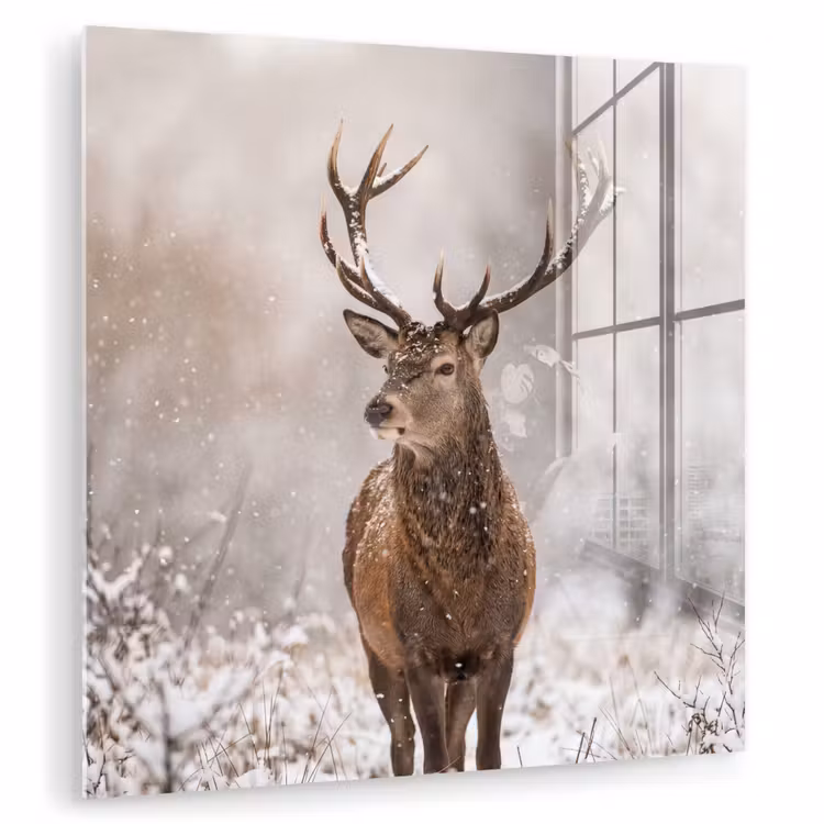 Edelhert - Bos - Sneeuw - Winter - Majestueus plexiglas 5mm klein -zzzproduct_nieuw