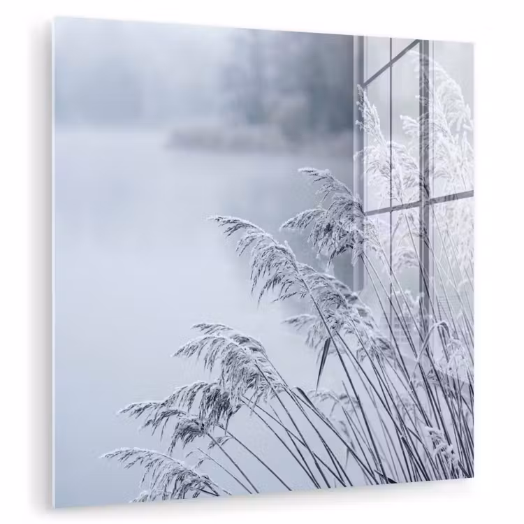 Riet - Bevroren - Winter - Natuur plexiglas 5mm klein -zzzproduct_nieuw
