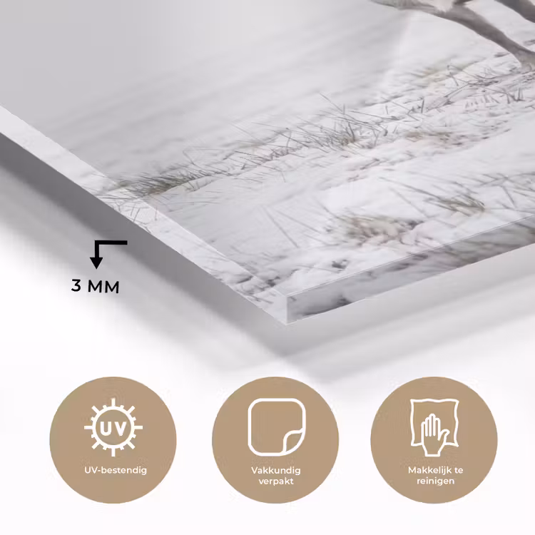 Rendier - Gewei - Sneeuw - Winter plexiglas 5mm klein -sfeer2