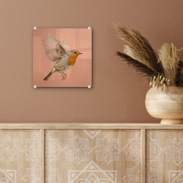 Roodborst - Natuur - Roze plexiglas 5mm klein -sfeer5