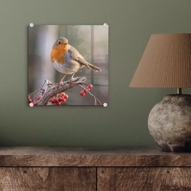 Roodborst - Tak - Bessen - Natuur plexiglas 5mm klein -sfeer3