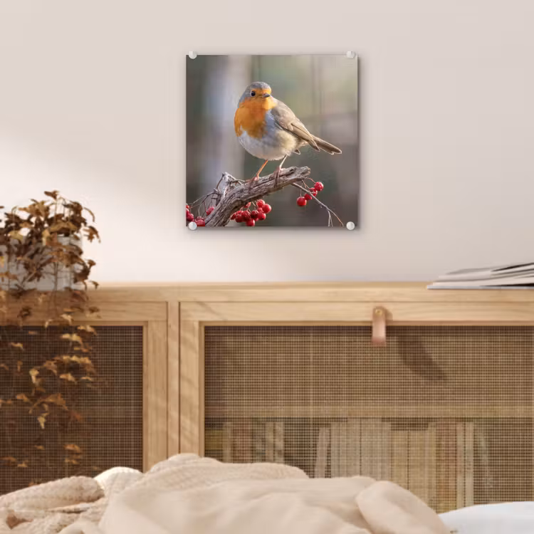Roodborst - Tak - Bessen - Natuur plexiglas 5mm klein -sfeer4