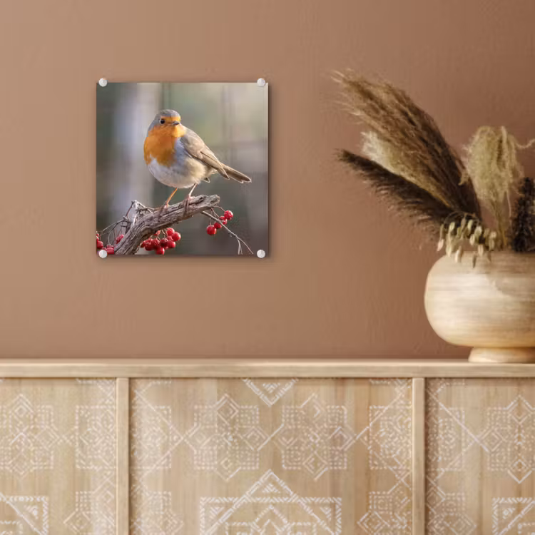 Roodborst - Tak - Bessen - Natuur plexiglas 5mm klein -sfeer5