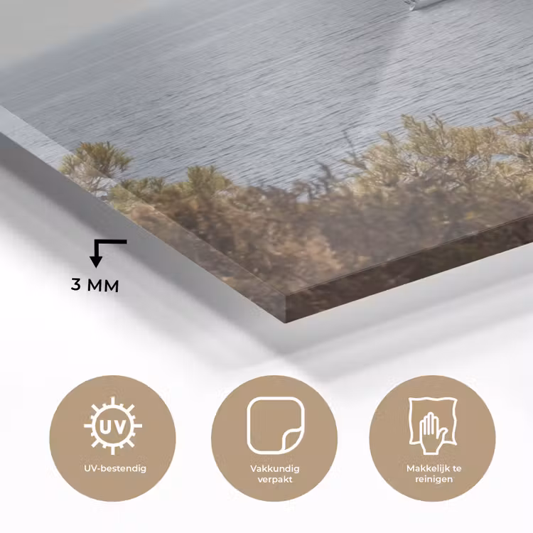 Glass Print - Sailboat - trees - water - Zeilboot - bomen - water plexiglas 5mm klein