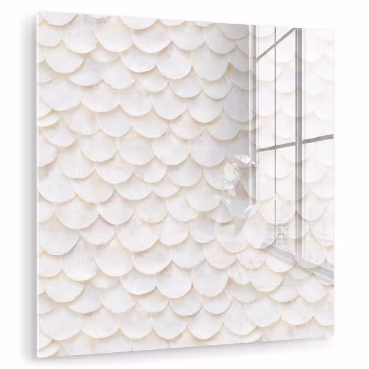 Schubben - Wit - Elegant plexiglas 5mm klein 11 -zzzproduct_nieuw