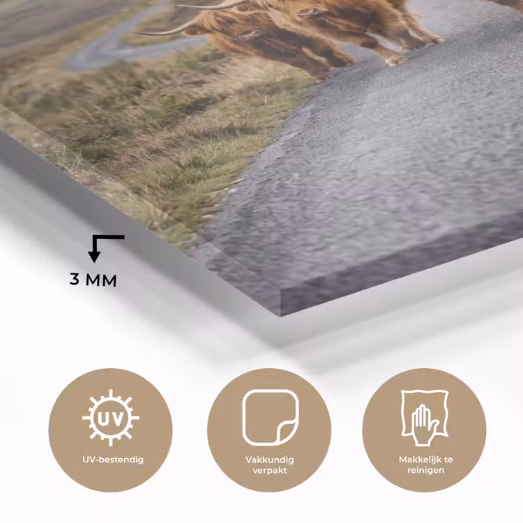 Schotse Hooglanders - Weg - Landschap - Kudde plexiglas 5mm klein -sfeer2