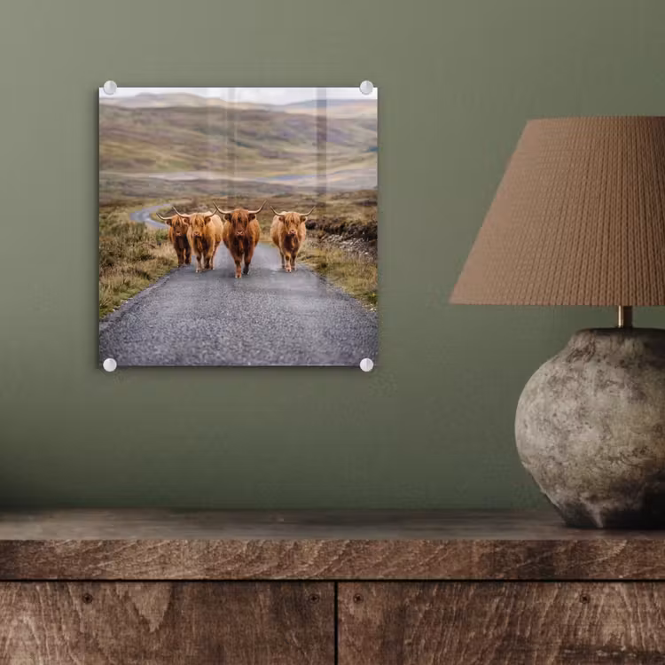 Schotse Hooglanders - Weg - Landschap - Kudde plexiglas 5mm klein -sfeer3